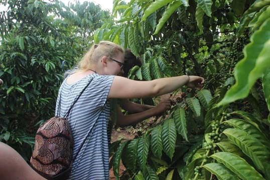 Kyaffeequatorcenter-Buwama必去景点