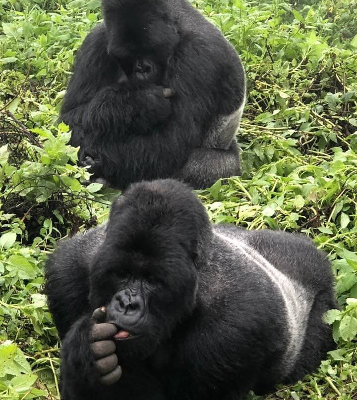 Great Adventures Uganda-坎帕拉必去景点