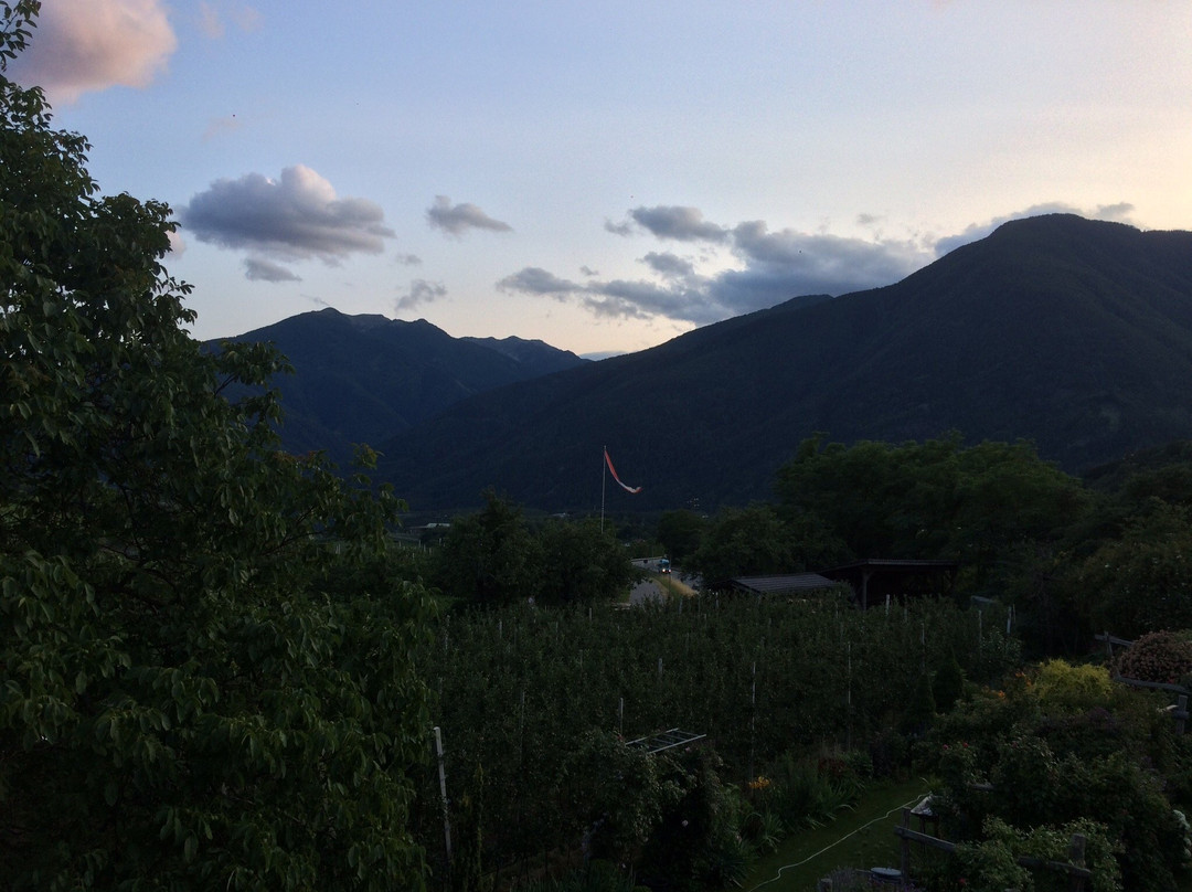 Peintnerhof Appartments & Zimmer主图