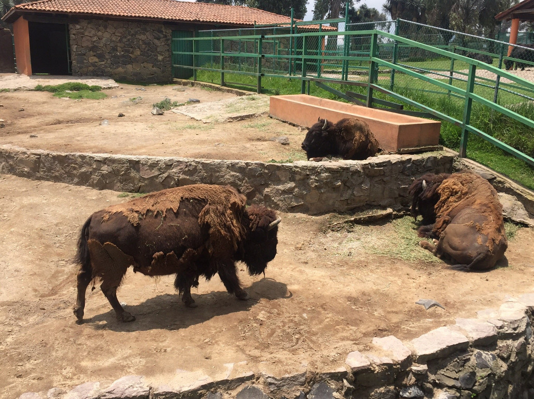 Parque Ecológico Zacango景点图片