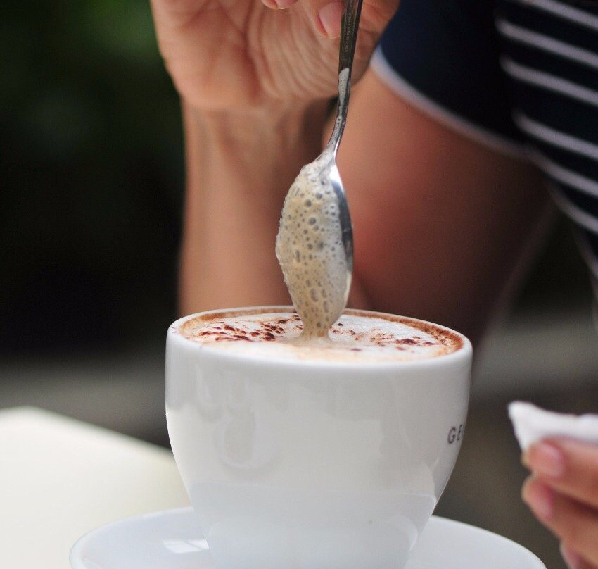 Patio Design LifeStyle Center-圣克鲁斯省必去景点