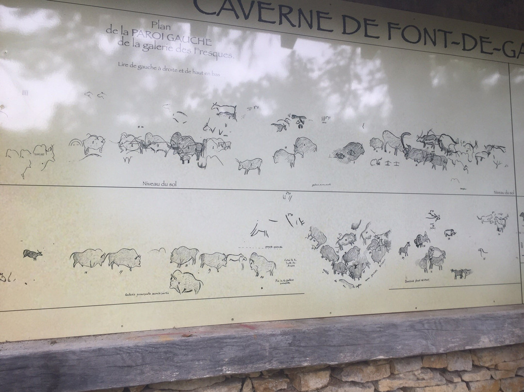 Font-de-Gaume Cave景点图片