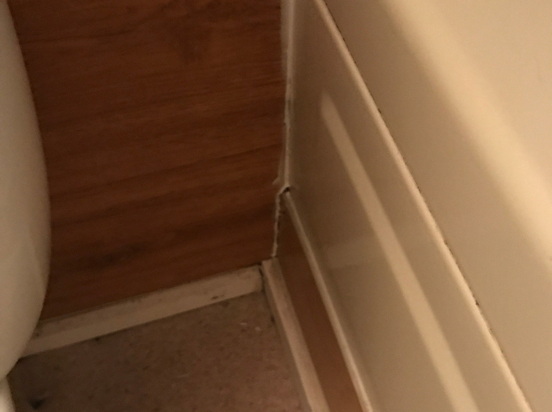 1202 Motor Inn主图