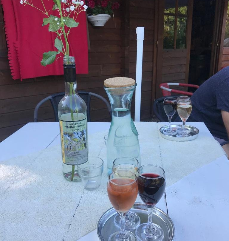 Wijngaard de Zessprong-Joppe必去景点