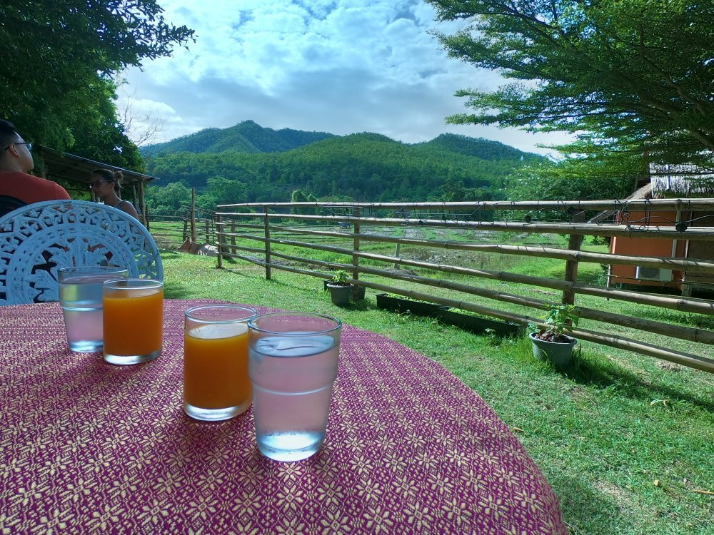 康纳小屋主图