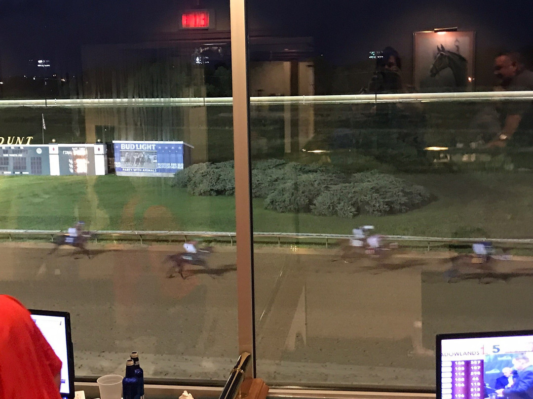 FanDuel Sportsbook and Horse Racing-科林斯维尔必去景点