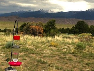 Great Sand Dunes Lodge主图