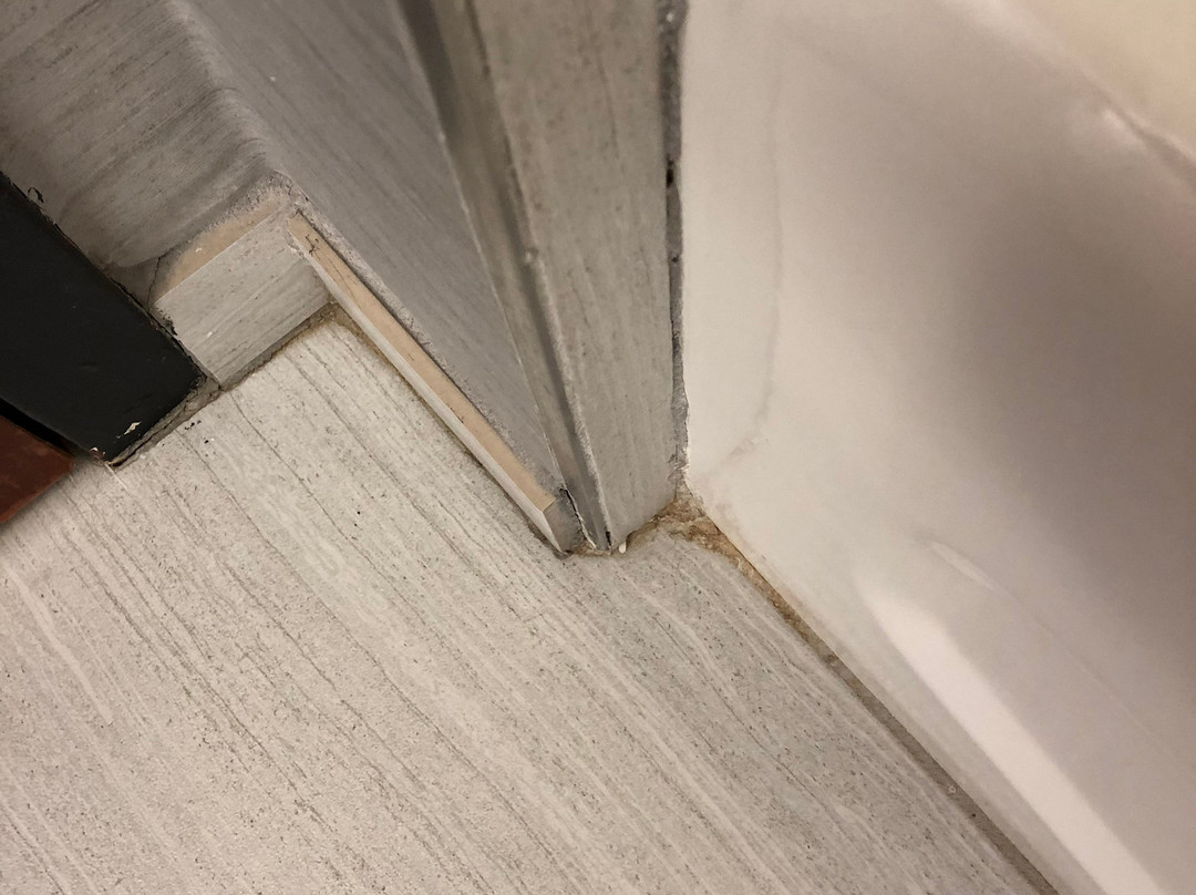 波士顿布鲁克莱恩万豪万怡酒店主图