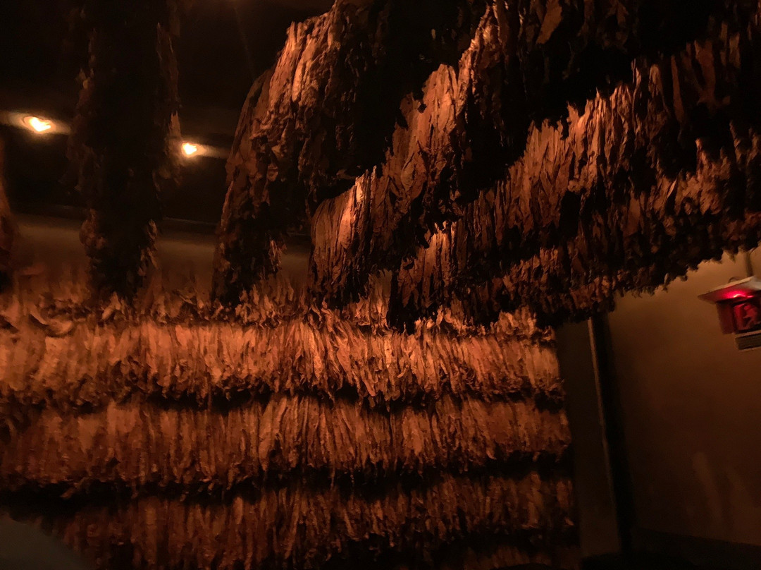 Museu del Tabac-Sant Julia de Loria必去景点