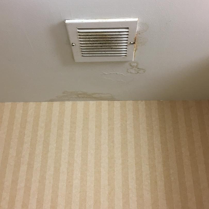 Hampton Inn Olive Branch主图