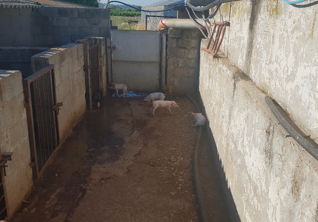 Agriturismo Sirimagus主图