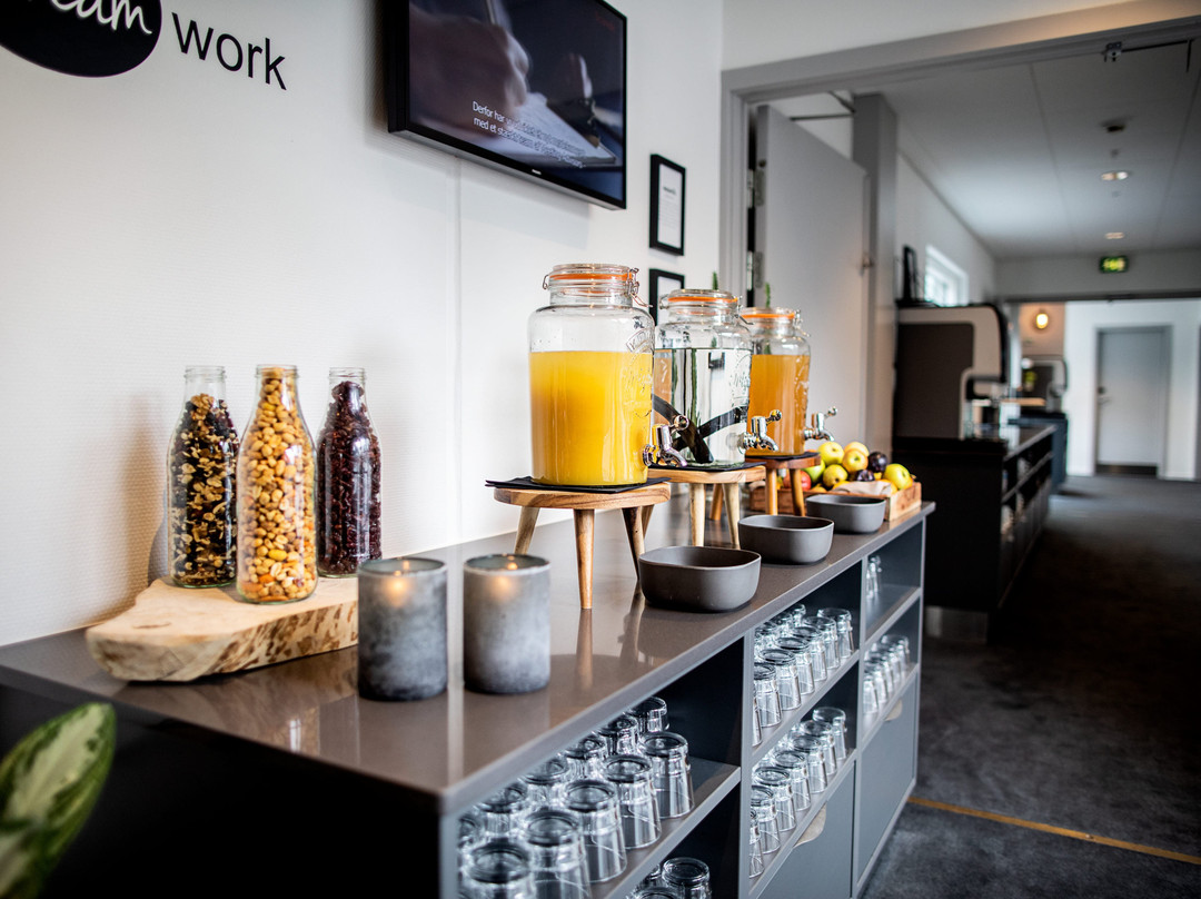 欧登塞斯堪迪克酒店主图