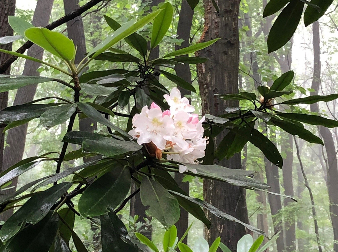 Natural Lands' Mariton Wildlife Sanctuary-Riegelsville必去景点