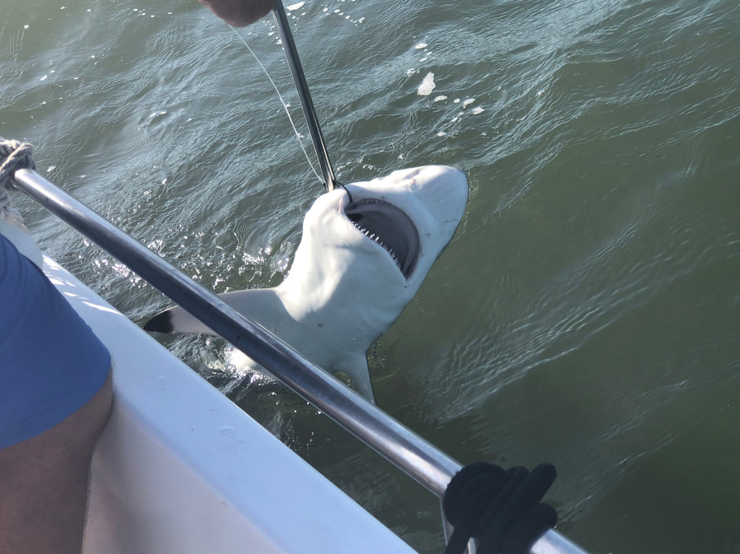 Coastal River Charters-萨凡纳必去景点