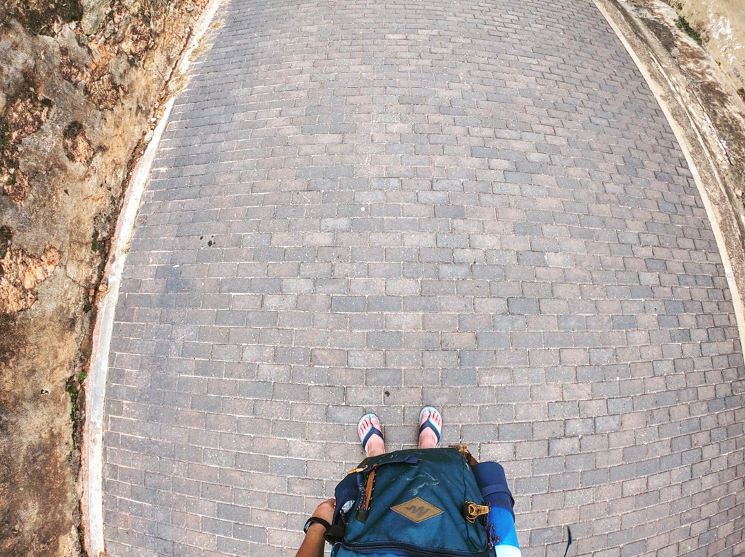 Sri Lanka Wings Tours-卡图纳耶克必去景点