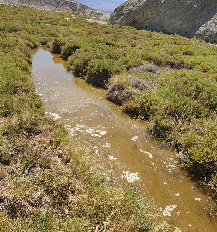 Salt Creek Interpretive Trail-死亡谷国家公园必去景点