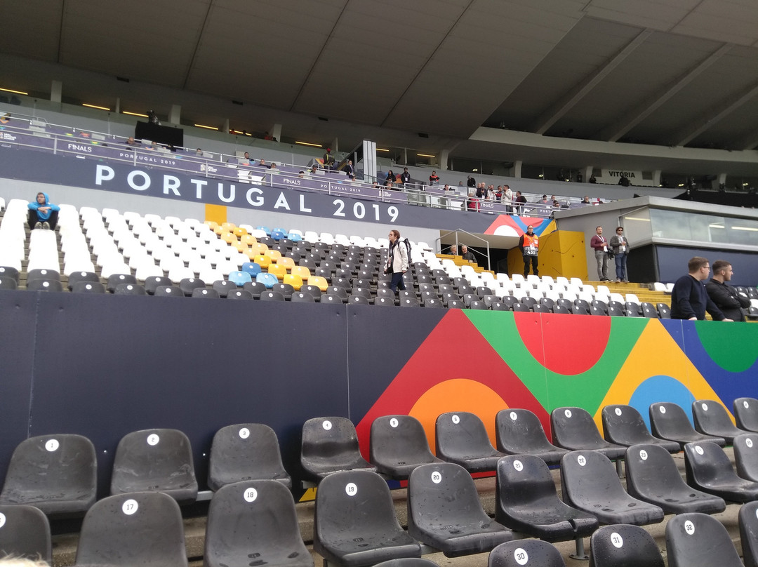 Estadio D. Afonso Henriques景点图片
