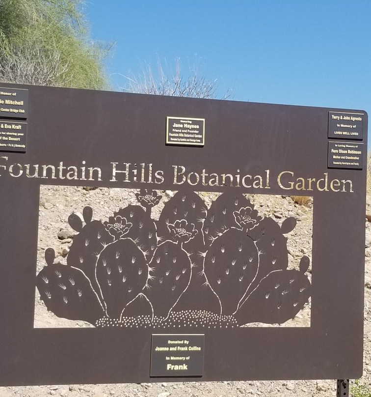 Fountain Hills Botanical Garden景点图片