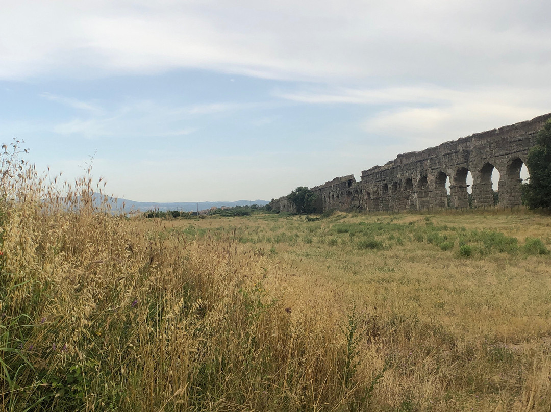 Joy of Rome Tours景点图片