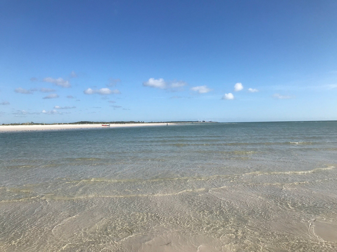 Caladesi Island State Park景点图片