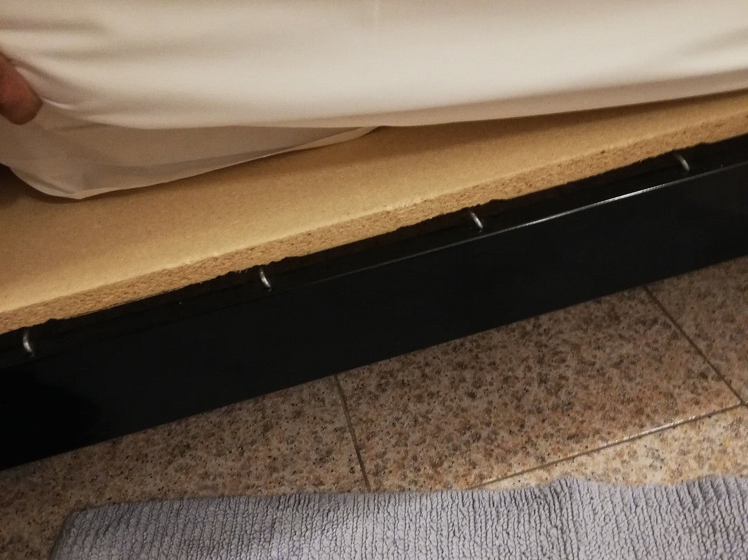 O Scugnizzo 2主图