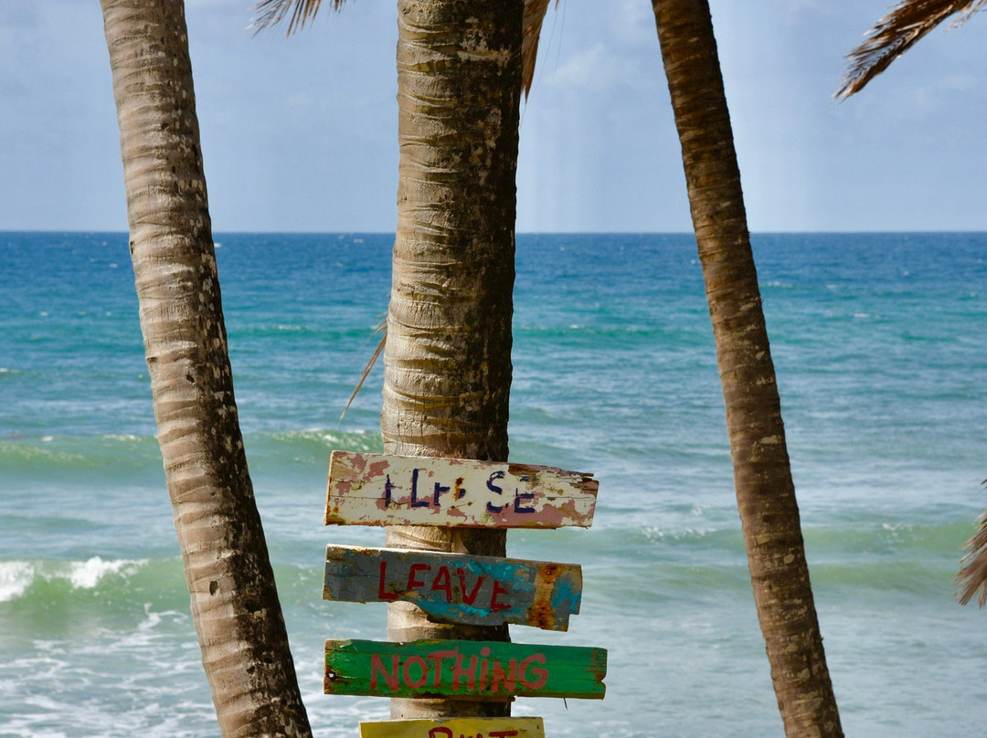 Bathsheba Beach-Bathsheba必去景点