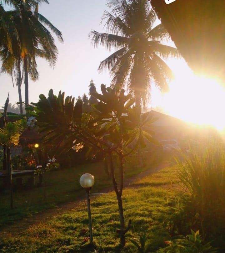 戴迪寄宿旅馆主图