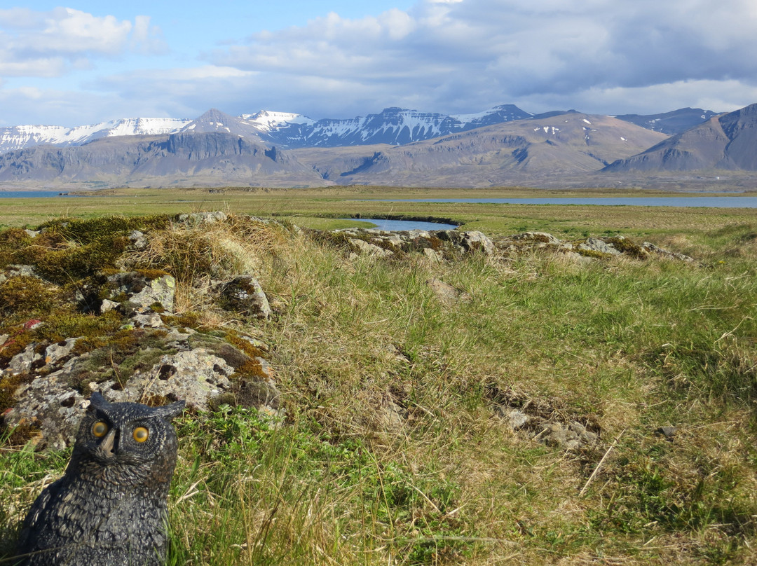 哈玛尔冰岛航空酒店主图