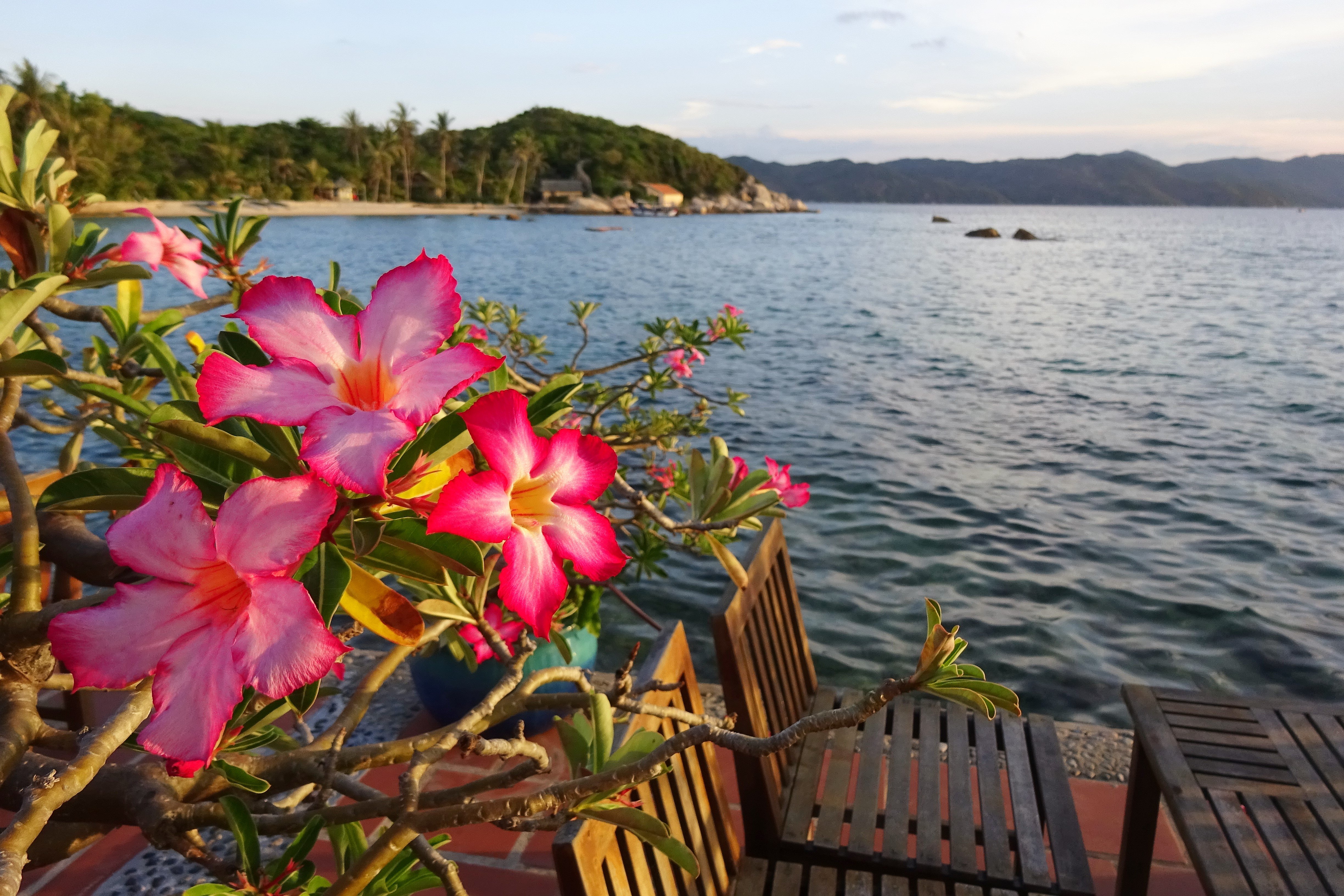 鲸鱼岛度假村-浴室