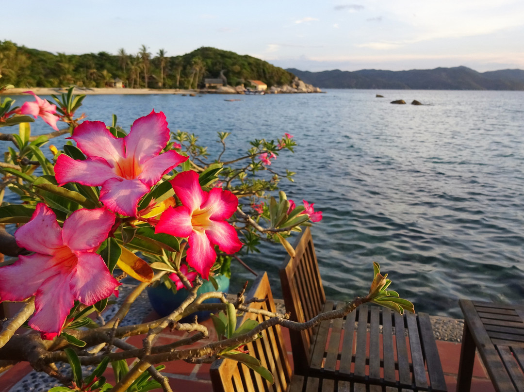 鲸鱼岛度假村主图