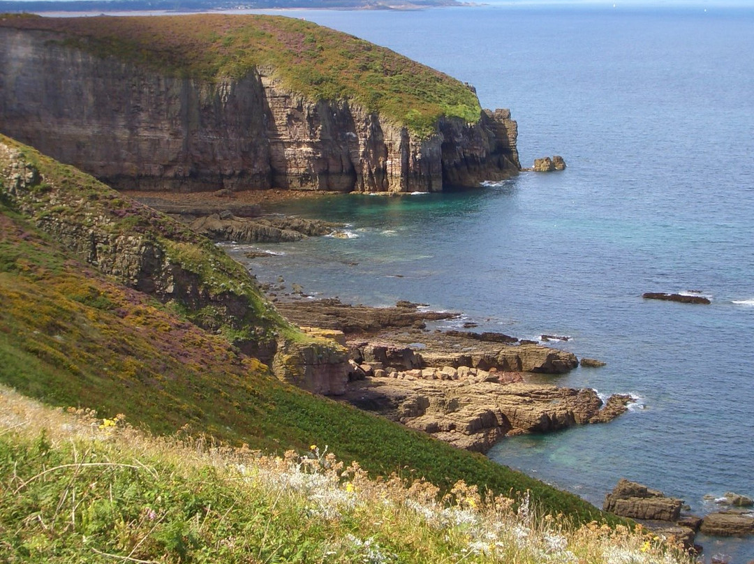 Cap Fréhel景点图片