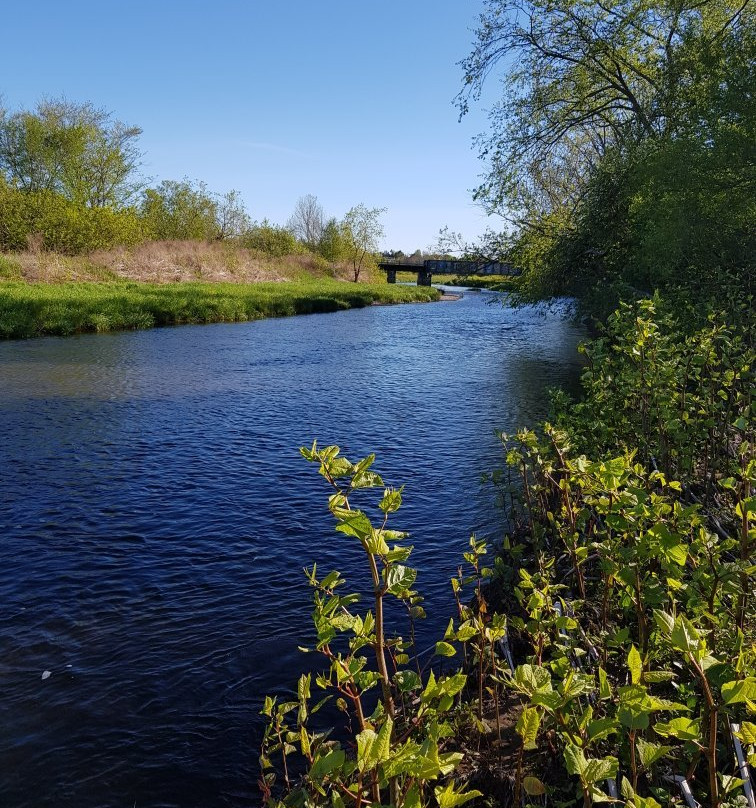 Antigonish Landing Trail-安蒂岗尼希必去景点