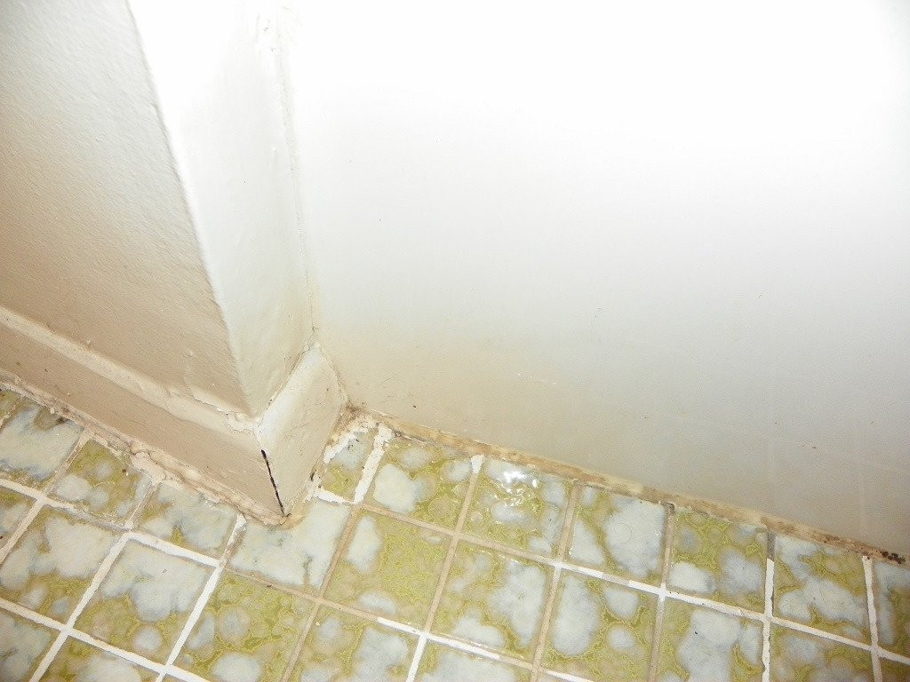 Gatehouse Motel主图