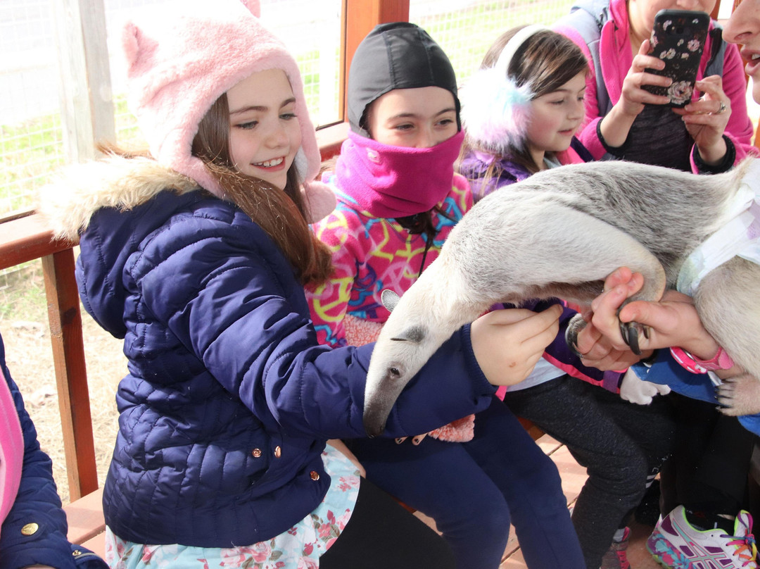 Mini 'S' Exotic Zoo-Mineola必去景点