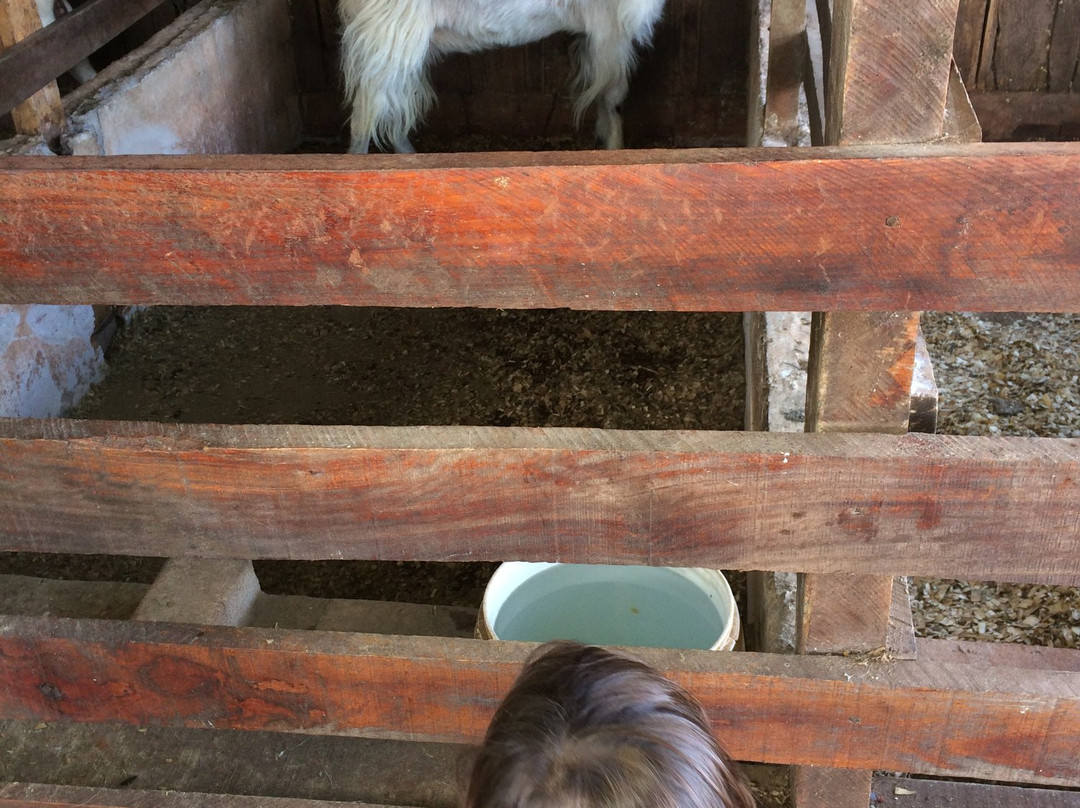 Pôr do Sol Parque Aquático-Pitangueiras必去景点