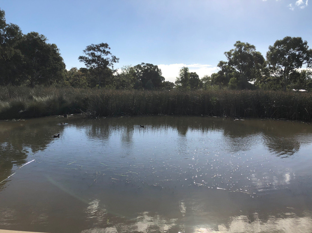 Oaklands Wetland景点图片