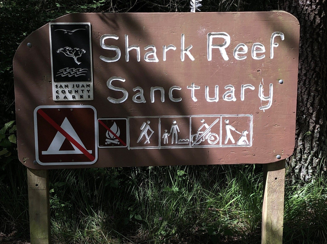 Shark Reef Sanctuary景点图片