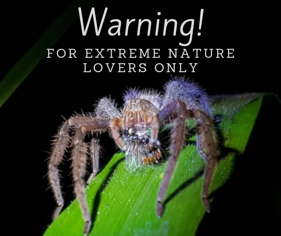 Mindo Biking-明多必去景点