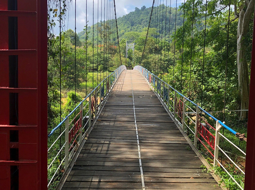 Madagui Forest City-Madagui Town必去景点