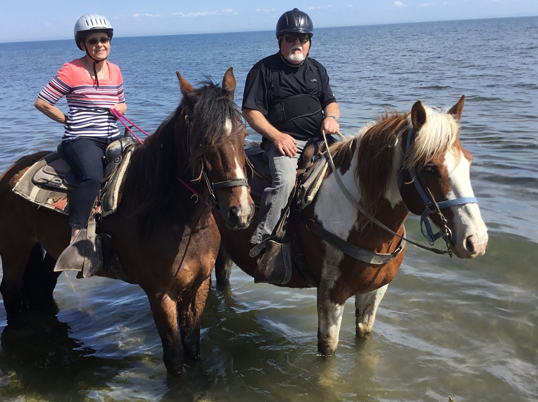 HorsePlay Niagara景点图片