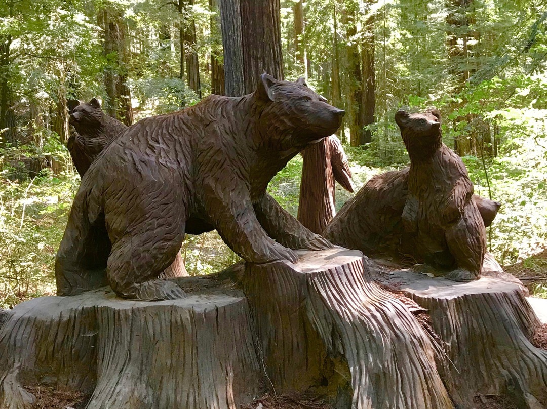 The Mendocino Tree景点图片