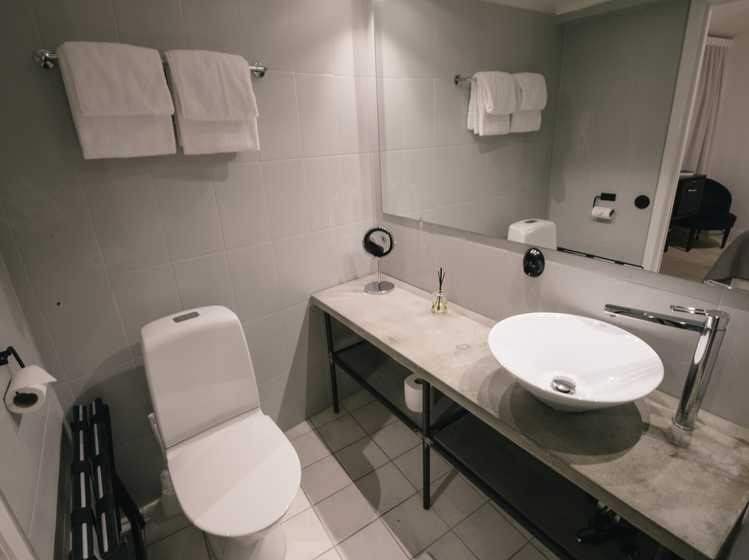 Hotel Villa Borgen主图