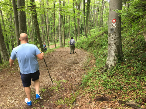 Lobagola Tours-萨格勒布必去景点