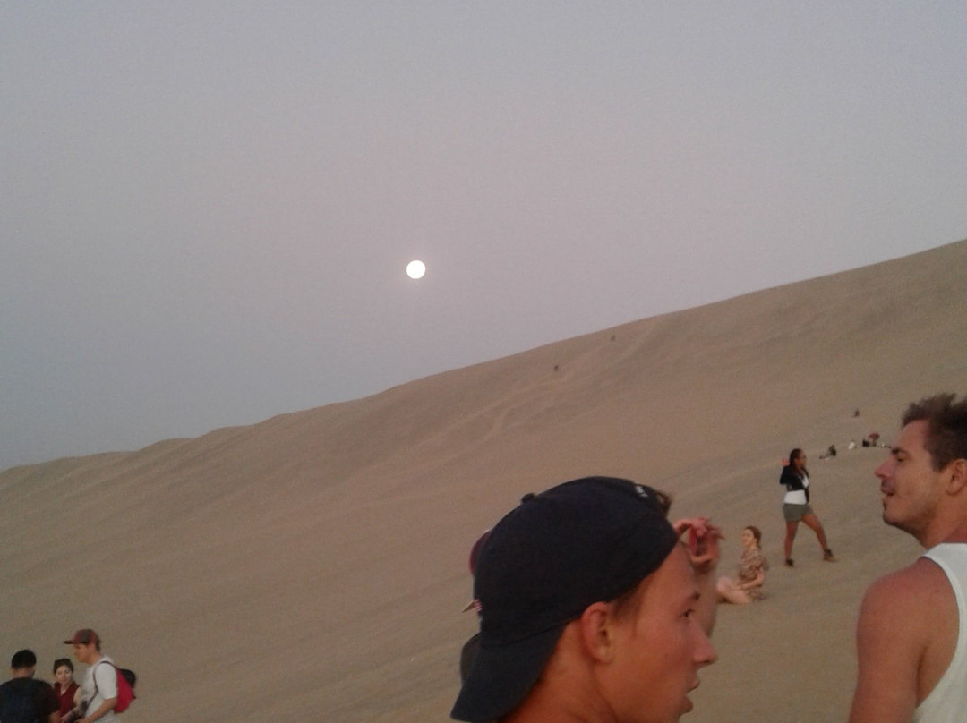 Oasis Huacachina-伊卡必去景点