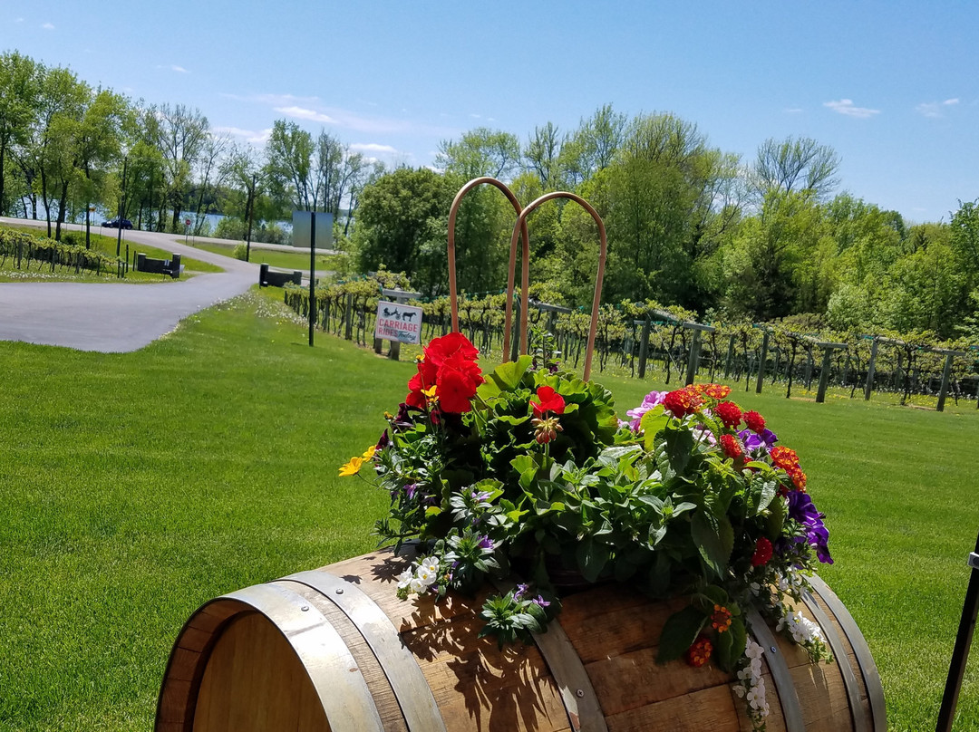 WineHaven Winery and Vineyard-Chisago City必去景点