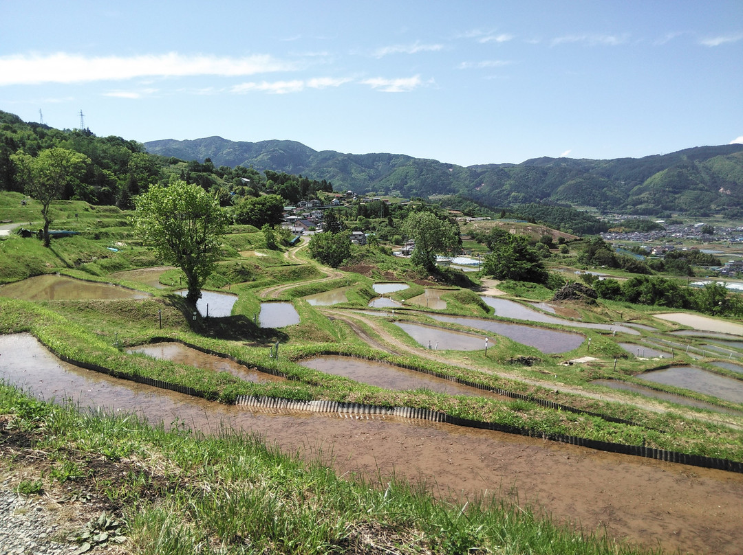 Obasute tanada (Terraced rice fields)-千曲市必去景点