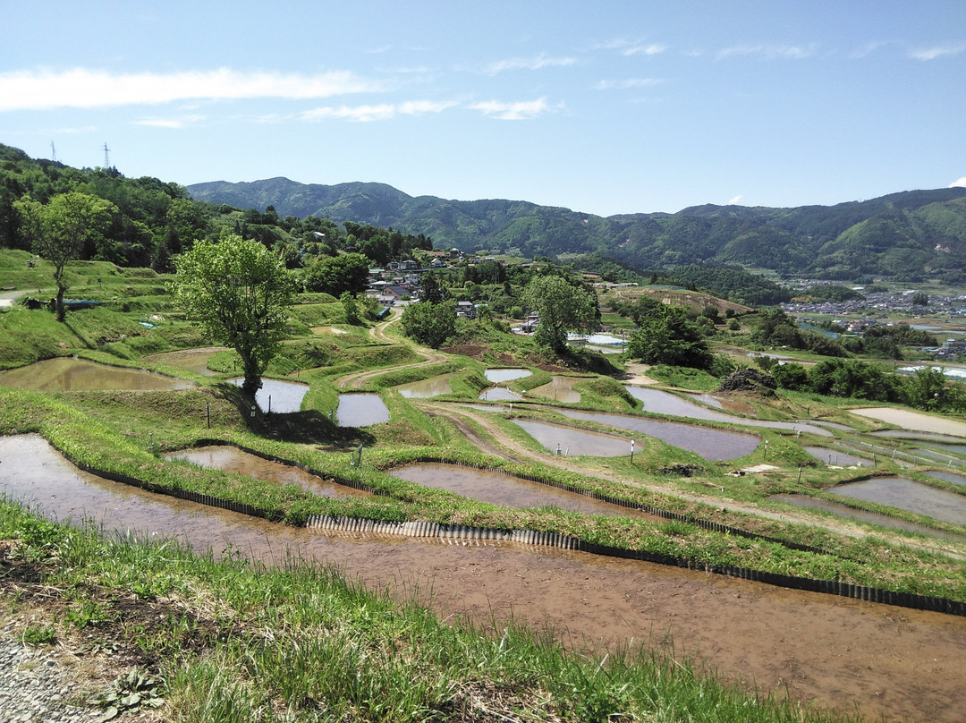 Obasute tanada (Terraced rice fields)景点图片