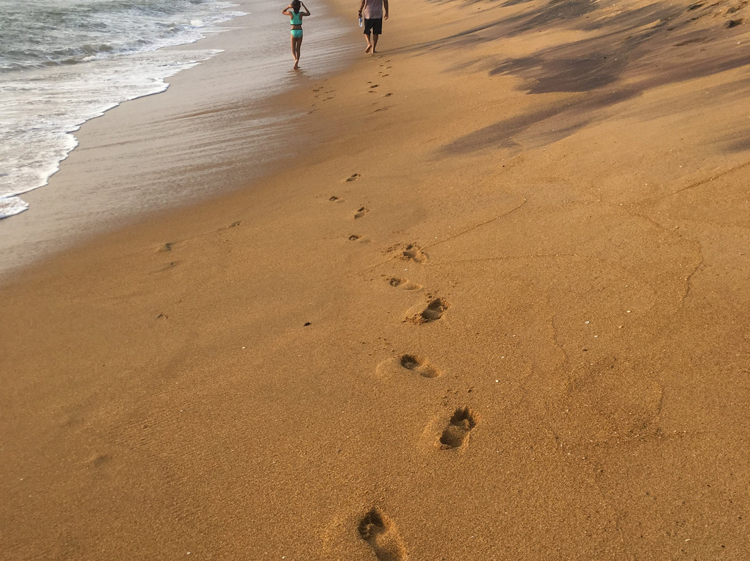 Taprobana Wadduwa By Asia Leisure主图