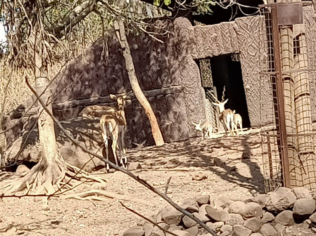 Rajiv Gandhi Zoological Park景点图片