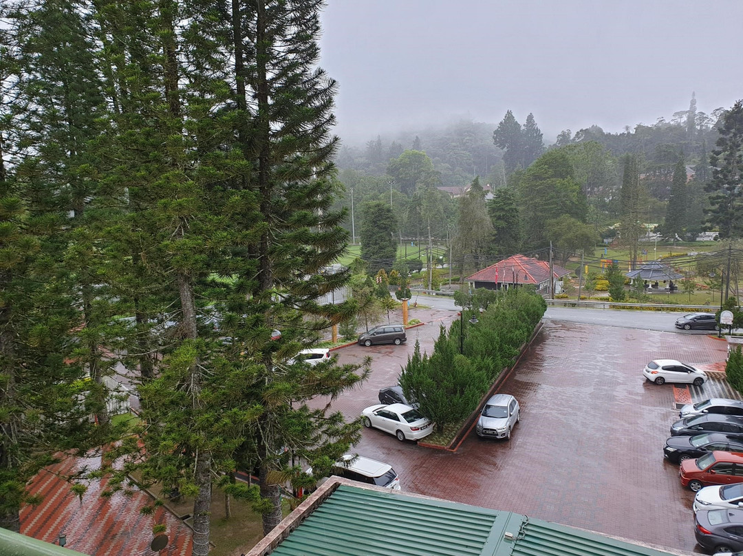 世纪松园度假村主图